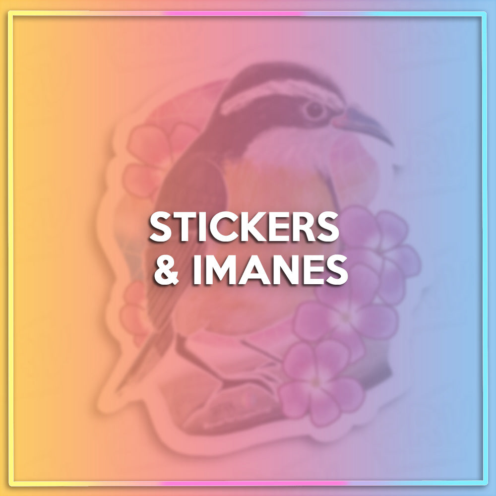 Stickers e Imanes