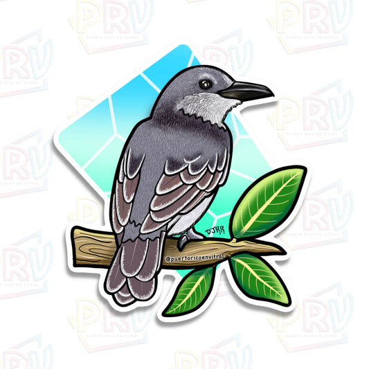 Pitirre (Sticker)