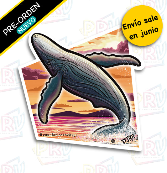 Ballena Rincón PR (Sticker Bellena)