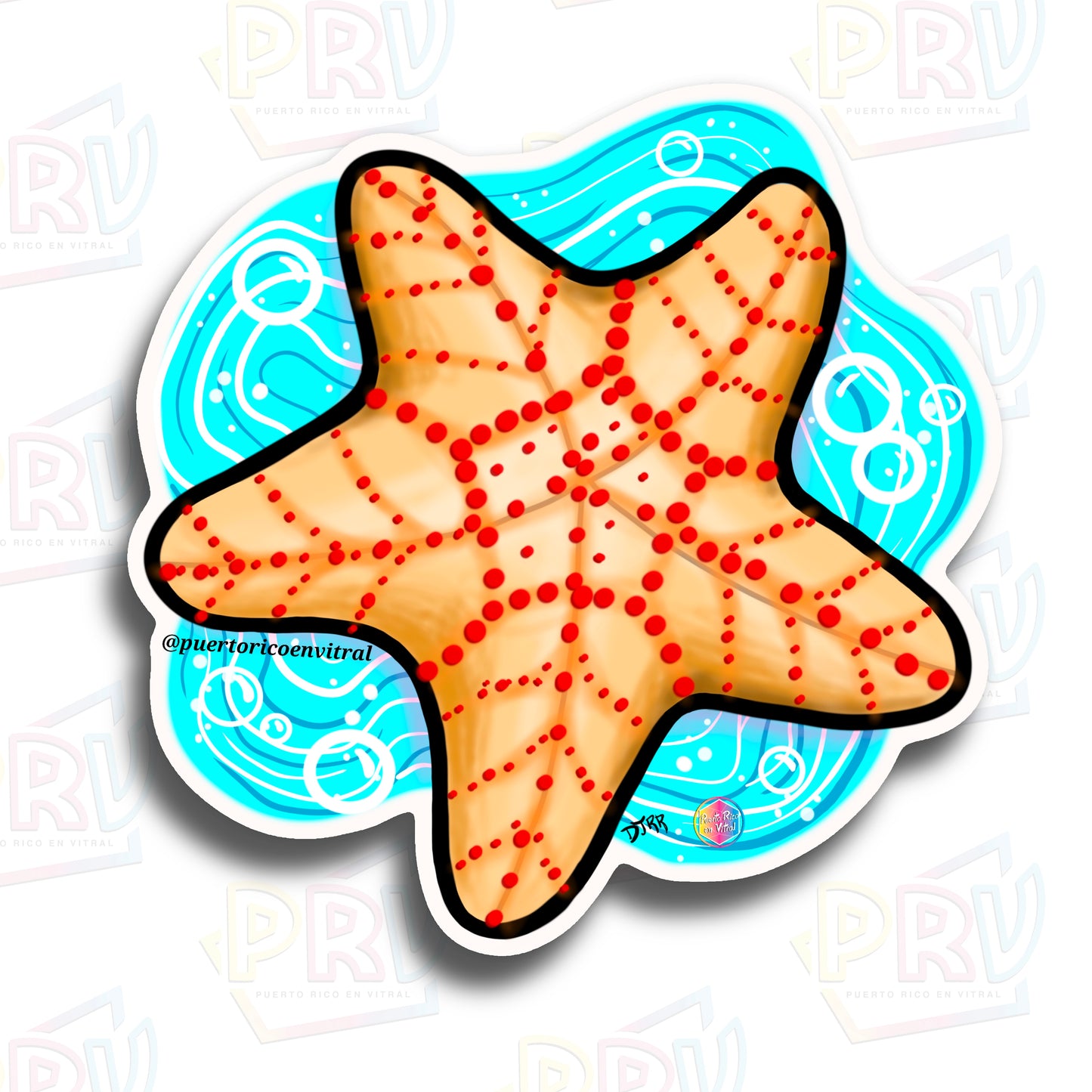 Estrella de Mar (Premium Sticker)