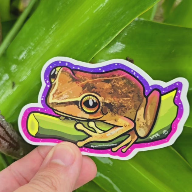 Coquí PR (Sticker)