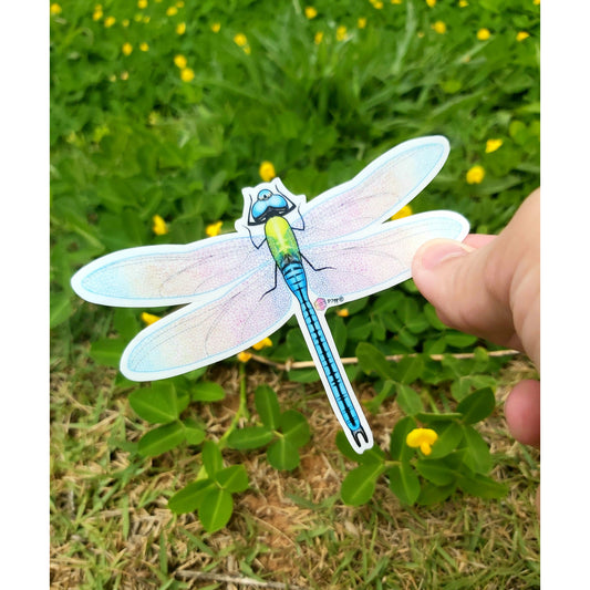 Libélula arcoíris (Dragonfly sticker)